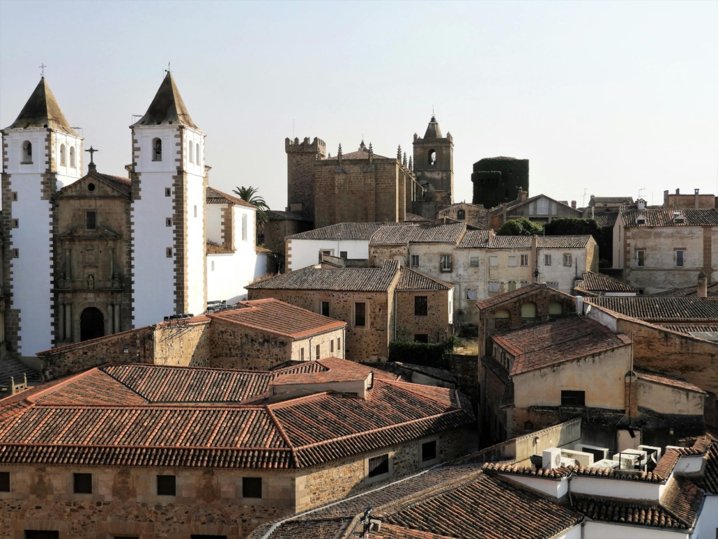 pexels-magali-guimaraes-3411930-5215420